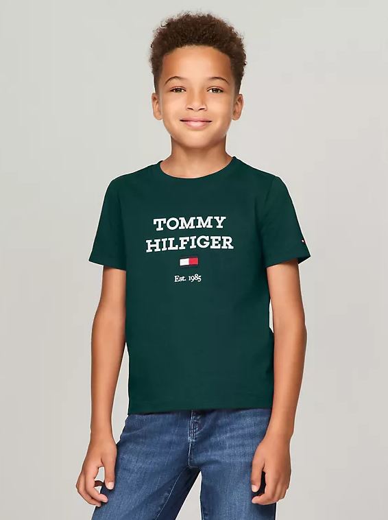 Camiseta Tommy Hilfiger