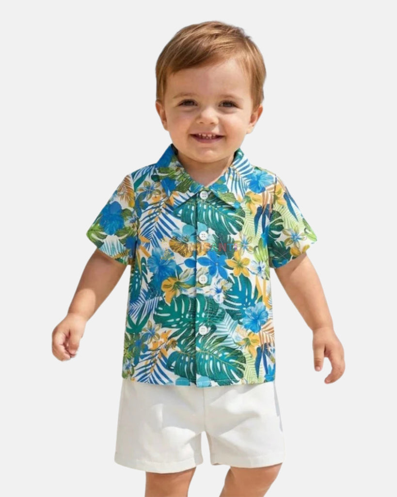 Conjunto Palmeras Verde