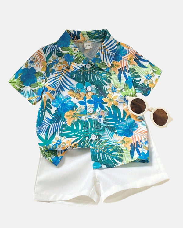 Conjunto Palmeras Verde