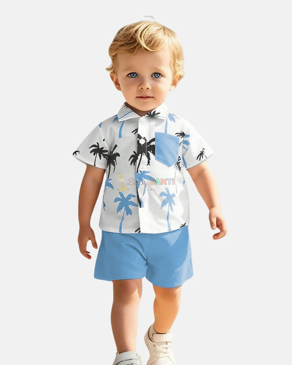 Conjunto Palmeras