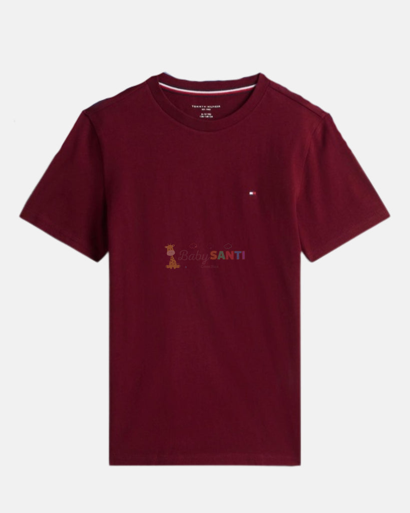 Camiseta Tommy Hilfiger