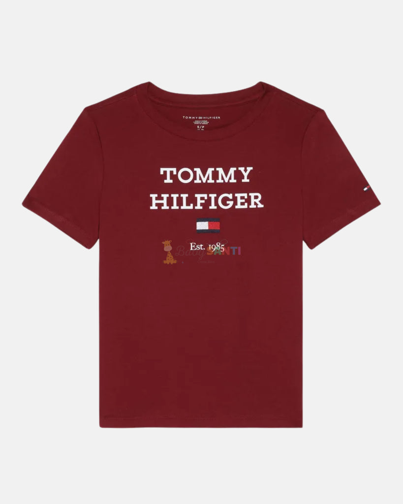 Camiseta Tommy Hilfiger