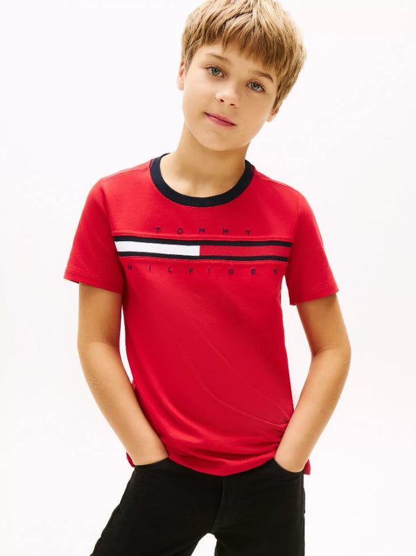 Camiseta Tommy Hilfiger