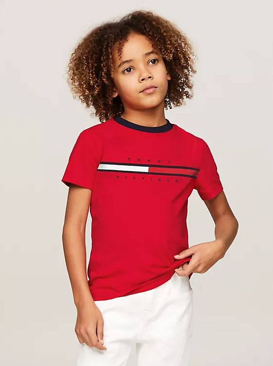 Camiseta Tommy Hilfiger