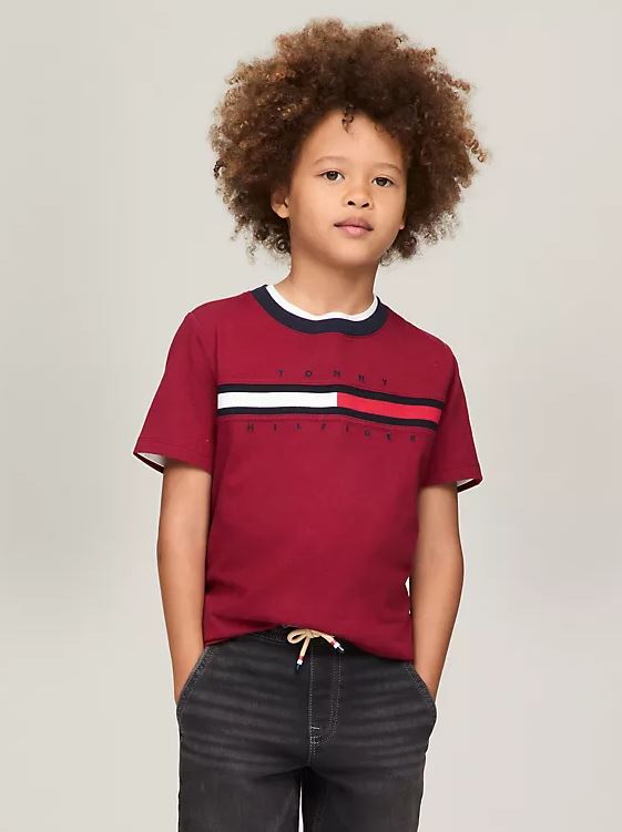 Camiseta Tommy Hilfiger