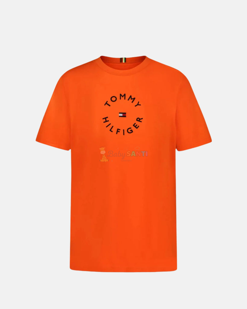 Camiseta Tommy Hilfiger